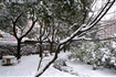 阳新一中雪景