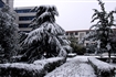 阳新一中雪景