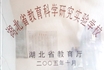 教学教研