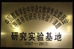 教学教研