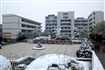2011新年雪景