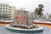 2011新年雪景