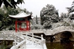 2011新年雪景