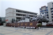 2011新年雪景