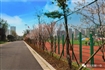 阳新一中新校区