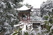 阳新一中雪景